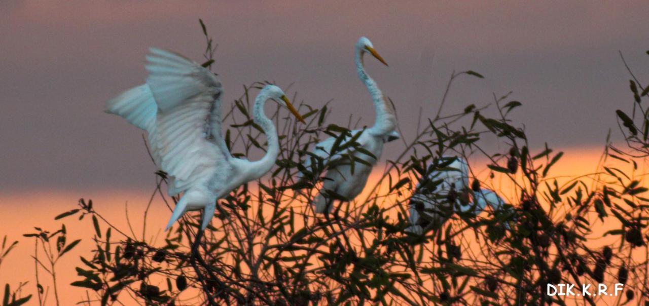 Pacaya Samiria Amazon Lodge Наута Экстерьер фото