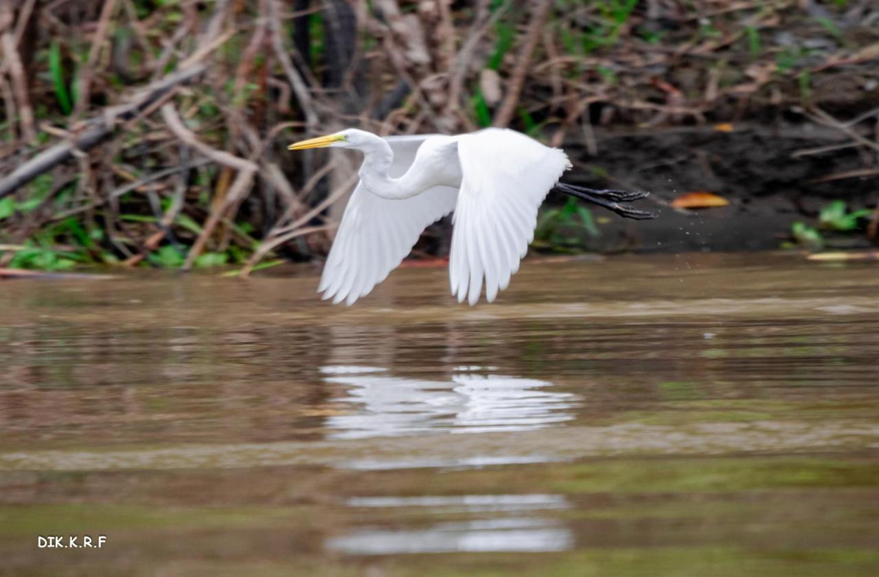 Pacaya Samiria Amazon Lodge Наута Экстерьер фото